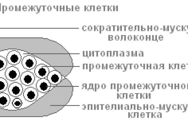 Kraken ссылка krakens13 at