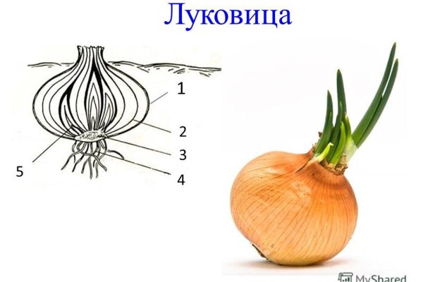 Кракен сайт зеркало рабочее