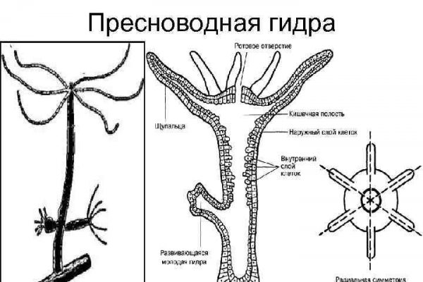 Кракен что это за маркетплейс