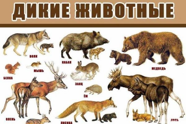 Кракен не работает сайт