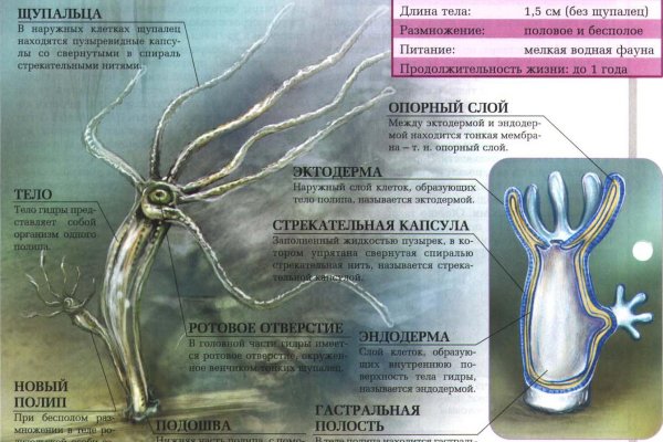 Мега кракен