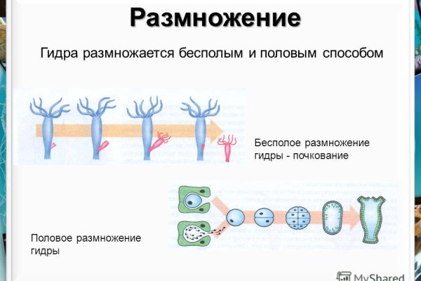 Кракен сайт нарк