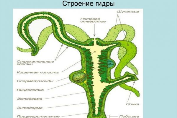 Кракен перестал работать